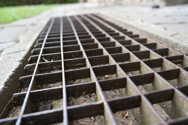 Jakiego typu wewnętrzną wycieraczkę kupić do pomieszczeń w swoim domu? luty 2022