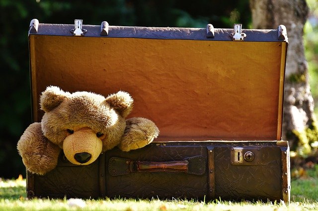 Będziesz mógł znaleźć zabawkę dla swojego dziecka na naszej witrynie internetowej! 2022
